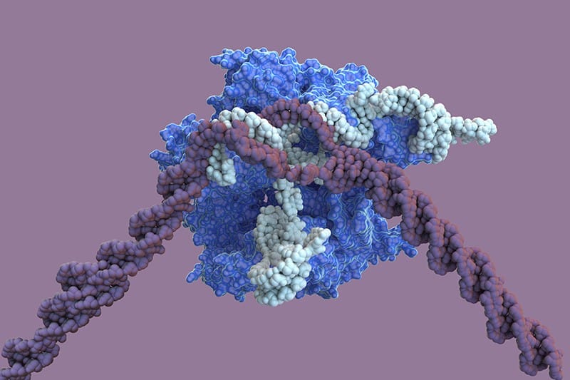Edición Génica y CRISPR